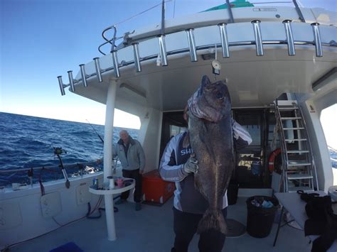 reef fishing charters sydney|Reef Fishing Charters Sydney .